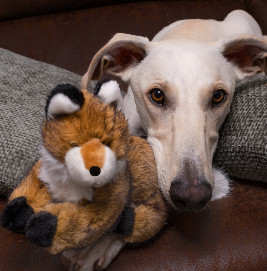 Fluff & Tuff Jasper Fox Squeakerless 11''