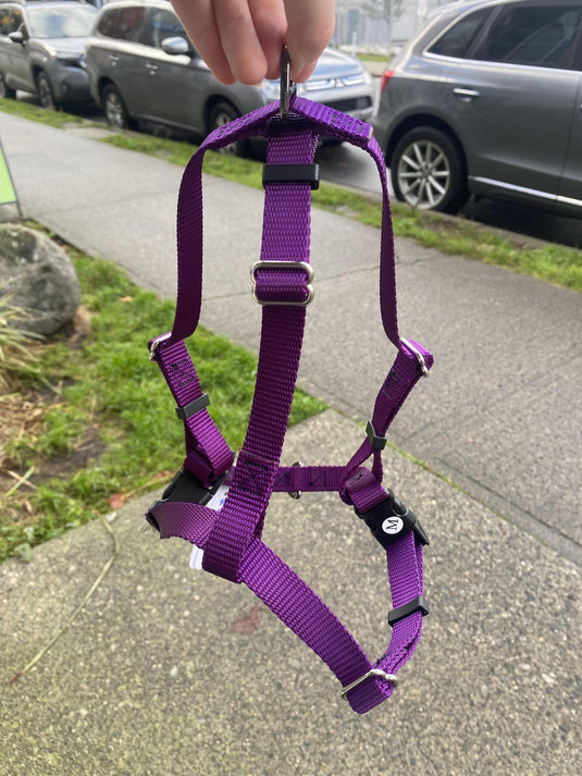 Woof & Stuff Basecamp Harness Purple