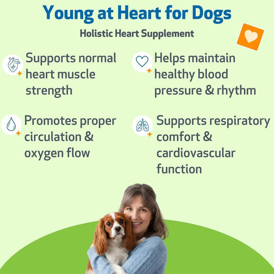 Pet Wellbeing Young At Heart
