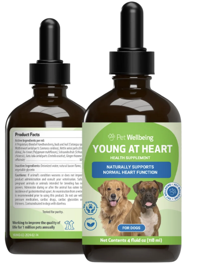 Pet Wellbeing Young At Heart