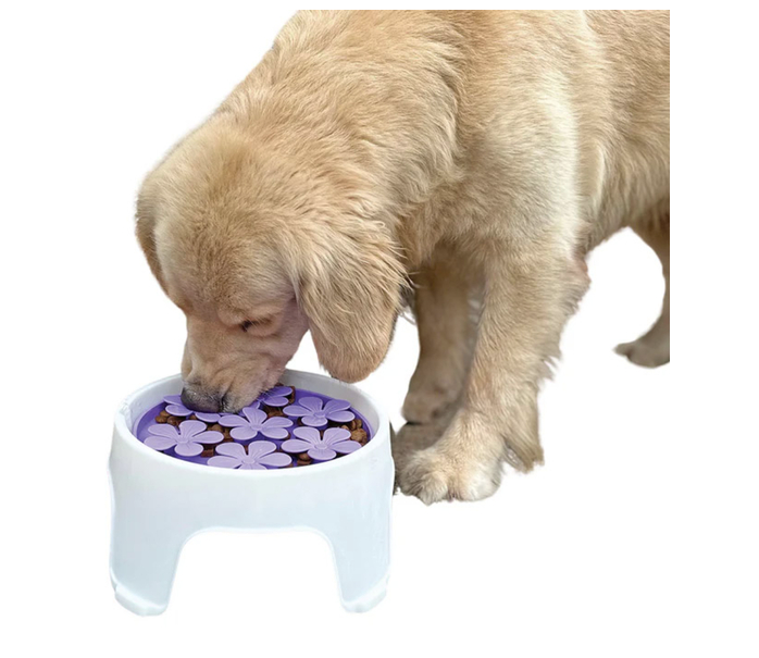 Load image into Gallery viewer, Spunky Pup 3-in-1 Lick Pad &amp; Slow Feeder Elevated Bowl
