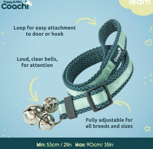Coachi Puppy & Mini Toilet Bells Teal & Mint
