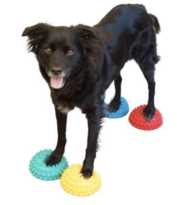 Load image into Gallery viewer, FitPAWS Paw Pods with Anti-Skid Bottoms (Set of 4)
