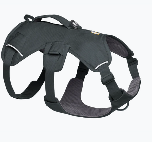 Ruffwear Web Master Basalt Gray