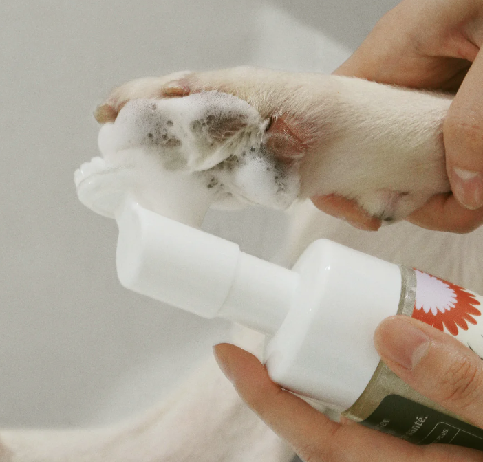 Load image into Gallery viewer, Dandylion Clean Paws No-Rinse Foaming Cleanser
