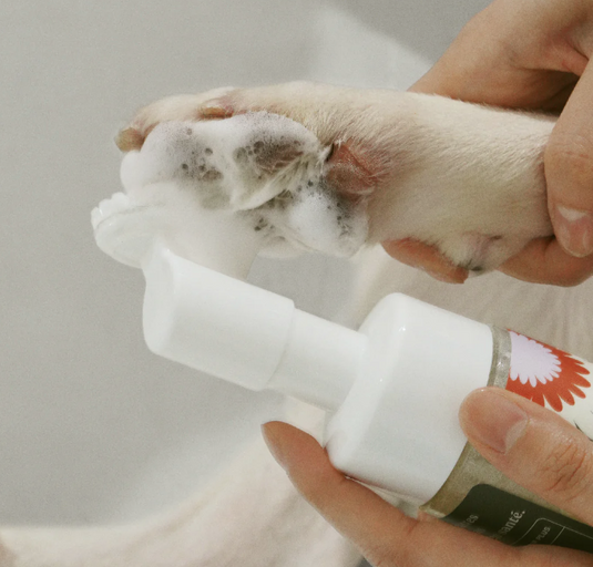 Dandylion Clean Paws No-Rinse Foaming Cleanser