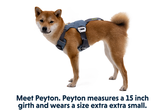 Ruffwear Load Up Car Harness