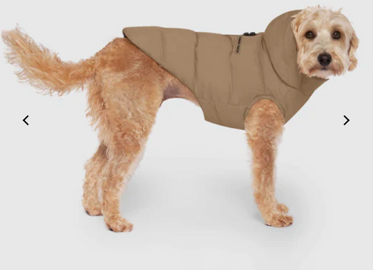 Canada Pooch The Waterproof Puffer Taupe