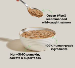 Open Farm Cat Rustic Blend Wild Caught Salmon 5.5 oz
