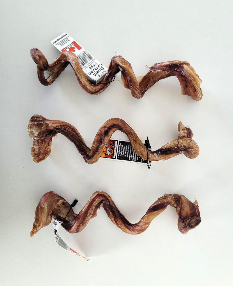 Load image into Gallery viewer, Puppy Love Canadian Beef Curly 8-10''
