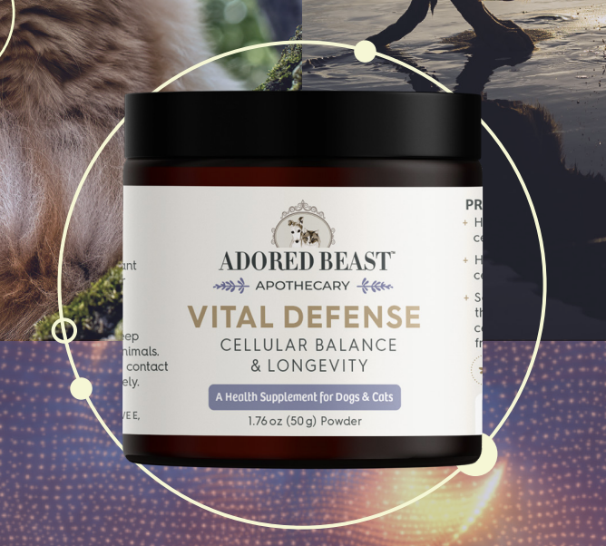 Load image into Gallery viewer, Adored Beast Vital Defense 50g
