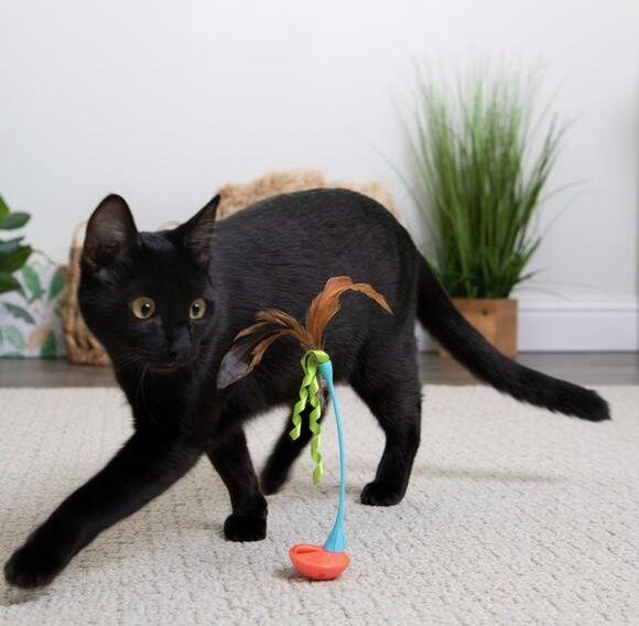 Load image into Gallery viewer, Instincts Wand with Feathers &amp; Ribbons

