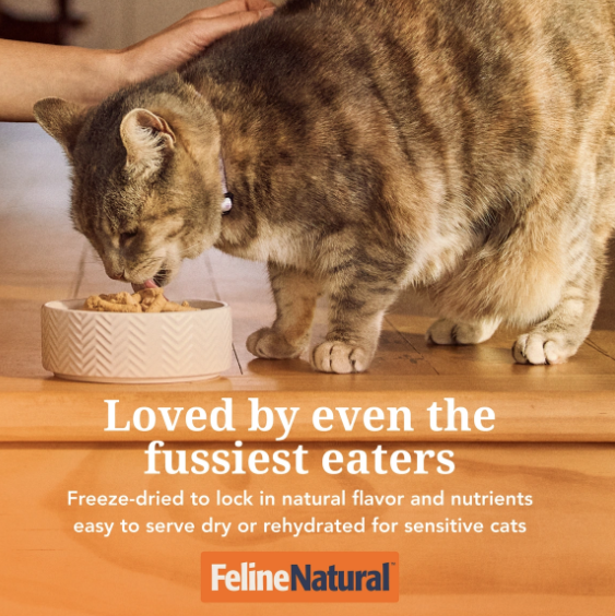 Load image into Gallery viewer, Feline Natural Freeze-Dried Lamb &amp; Salmon - Discover Dogs
