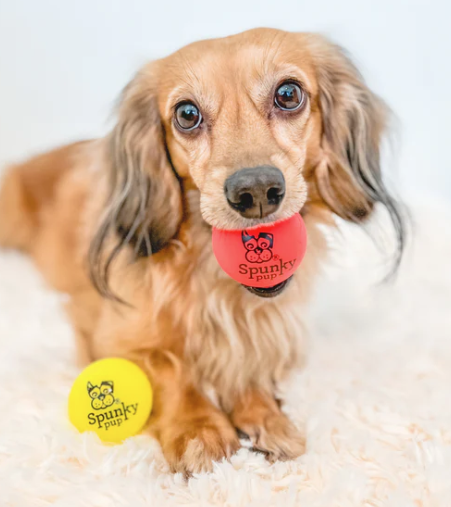 Spunky Pup Fetch & Glow Glowing Fetch Ball Small 2PK Assorted