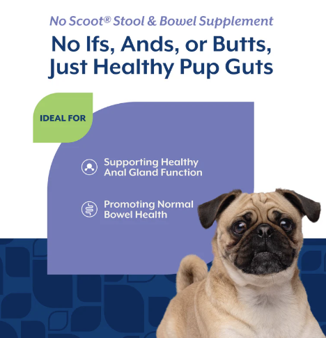 NaturVet No Scoot Supplement Powder 155g