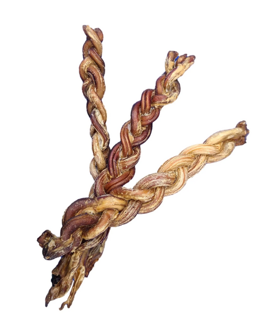 Only One Treats 8-11" Braided Lamb Pizzle Stick