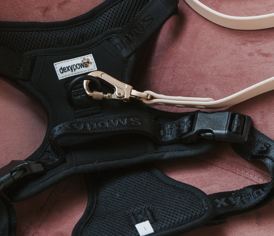Dexypaws Dog No-Pull Harness Black