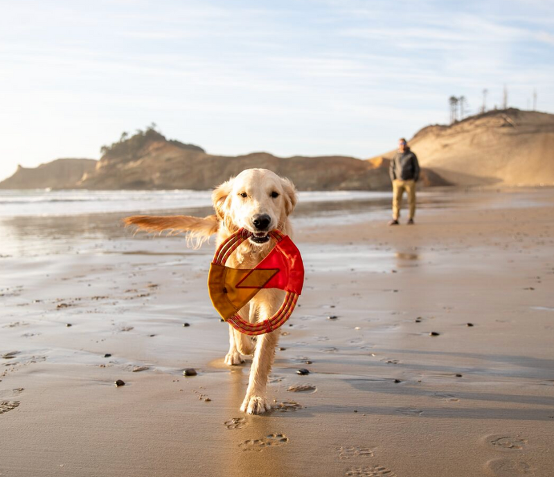 Load image into Gallery viewer, Ruffwear Pacific Ring Toy
