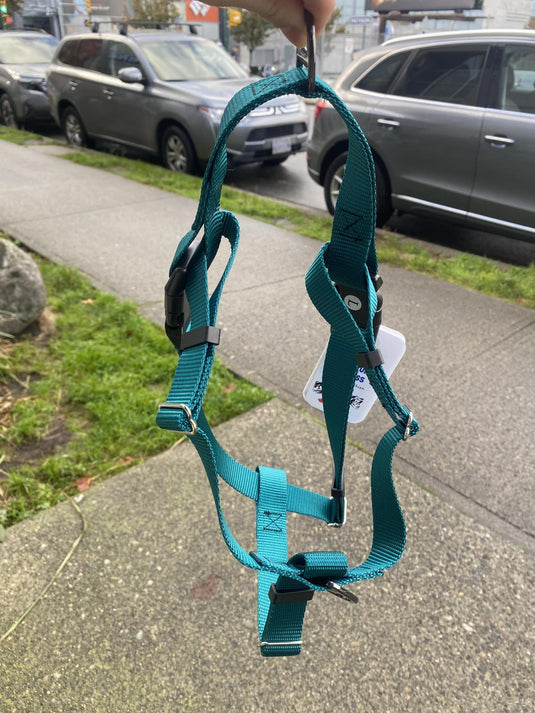 Woof & Stuff Basecamp Harness Turqoise