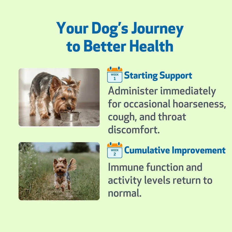 Load image into Gallery viewer, Pet Wellbeing Throat Gold - Discover Dogs
