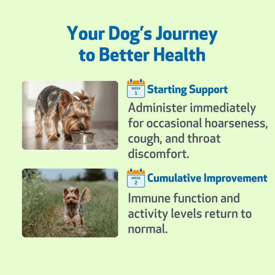 Pet Wellbeing Throat Gold - Discover Dogs
