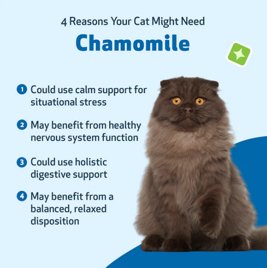 PW Chamomile for Cats