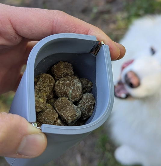 Up Dog Treat Pouch