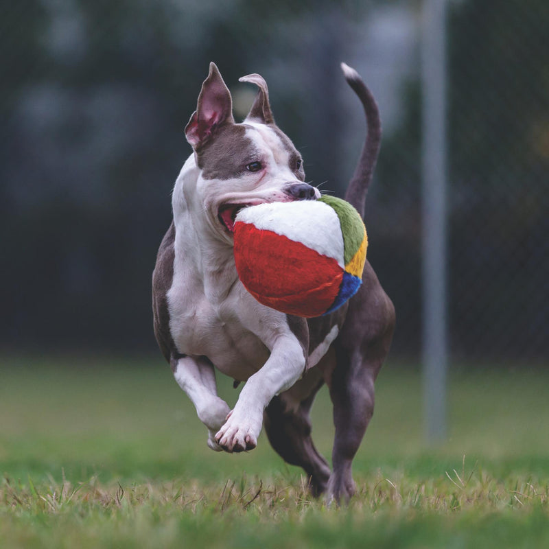 Load image into Gallery viewer, Fluff N Tuff Beach Ball 7&#39;&#39;
