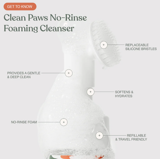 Dandylion Clean Paws No-Rinse Foaming Cleanser