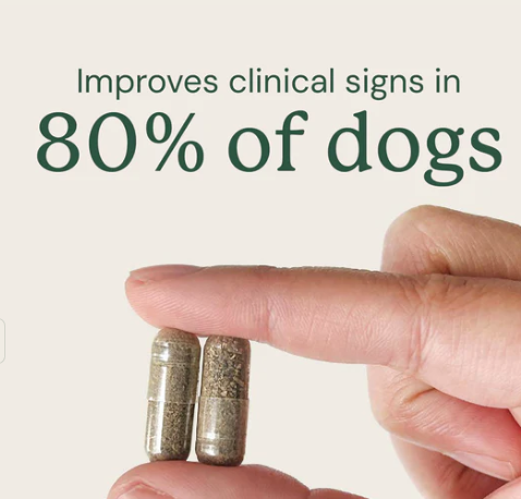 Load image into Gallery viewer, Animal Biome Gut Restore FMT for Dogs 60ct - Discover Dogs
