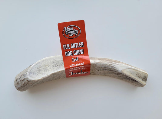 Yum Diggity Split Elk Antler - Discover Dogs