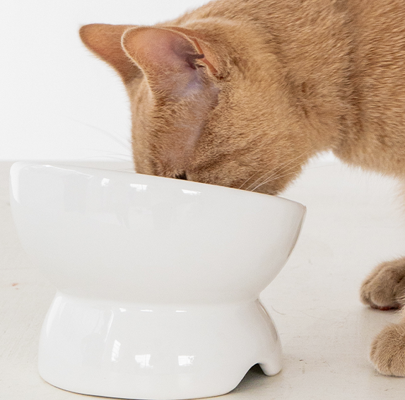 Load image into Gallery viewer, Dexypaws Cat Elevated Ceramic Bowl White - Discover Dogs

