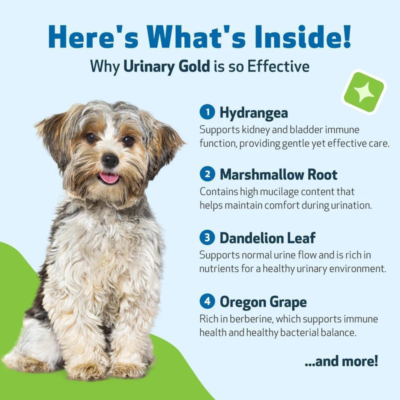 Load image into Gallery viewer, Pet Wellbeing Urinary Gold
