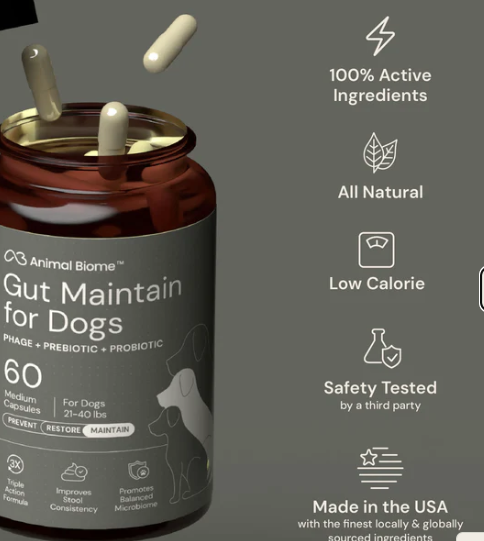 Animal Biome Gut Maintain for Dogs 60ct
