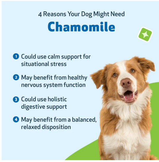 PW Chamomile for Dogs