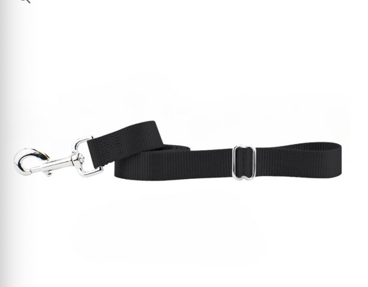 2 Hounds 5/8” Wide Adjustable Handle Nylon Leash