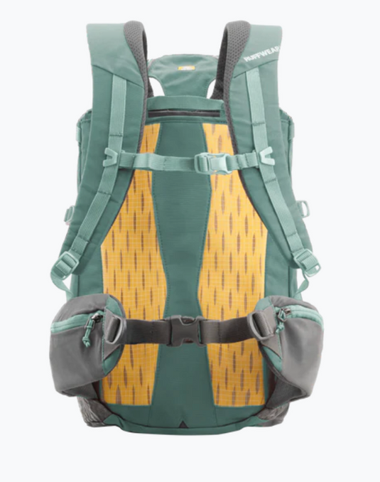 Ruffwear Hitch Hiker Dog Backpack Carrier River Rock Green