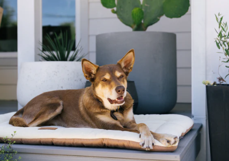 PLAY Chill Pad Anchor