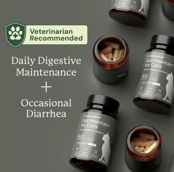 Load image into Gallery viewer, Animal Biome Gut Maintain for Cats 60ct
