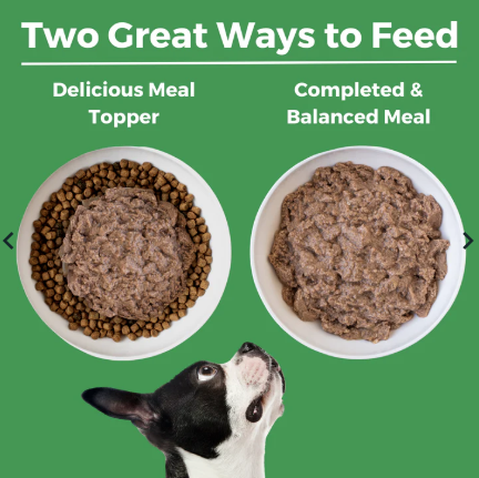 KOHA Limited Ingredient Diet Turkey Pate Entrée for Dogs 369g
