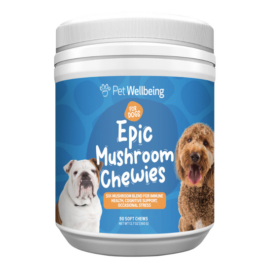 Pet Wellbeing Epic Mushroom Chewies for Immune Health and Cognitive Function in Dogs - Discover Dogs