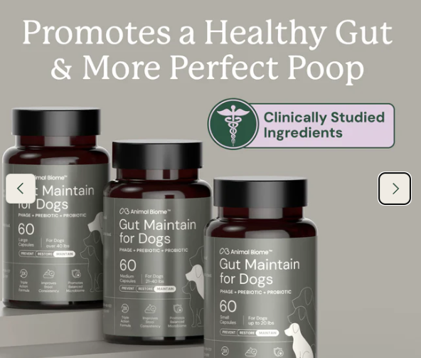 Load image into Gallery viewer, Animal Biome Gut Maintain for Dogs 60ct
