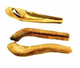 Nature's Own Odour Free Jumbo Bully Stick 6-9''