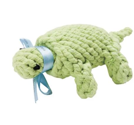 Jax & Bones Ted Turtle 9''