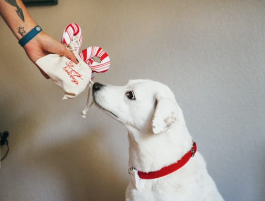 Load image into Gallery viewer, PLAY Holiday Candy Canes
