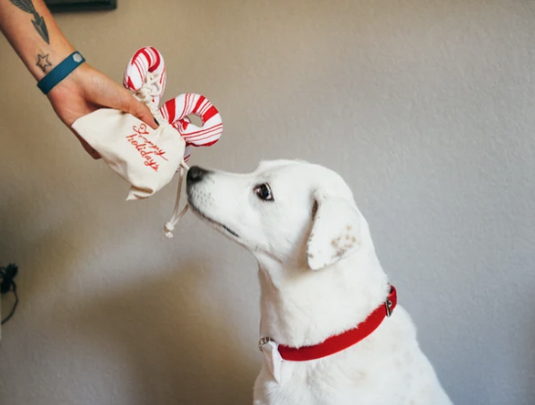 PLAY Holiday Candy Canes