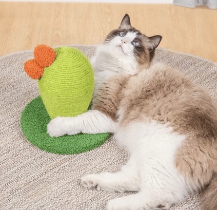 One For Pets Cat Scratcher Catcus - Mini