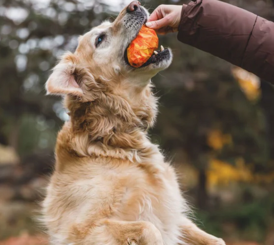 Ruffwear Gnawt-A-Cone