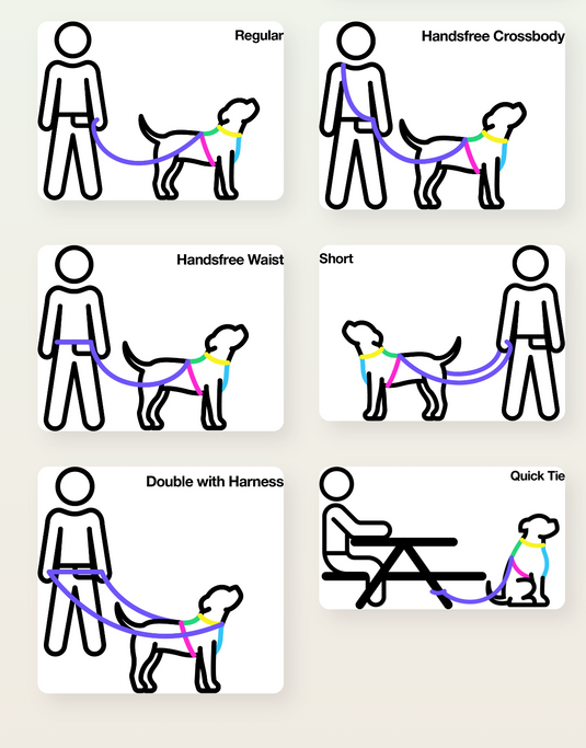 Dog People Biothane All The Ways Versatile Leash 8'