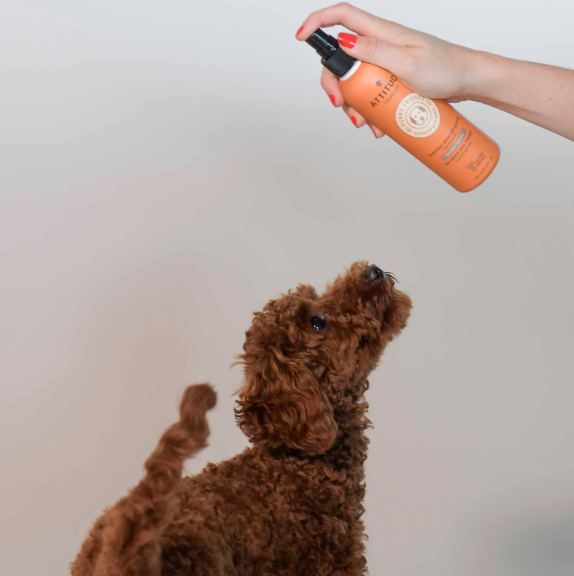 Load image into Gallery viewer, Attitude Itch Soothing Waterless Detangling Spray Lavender 240 ml
